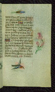 W.427, fol. 112r