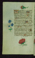 W.427, fol. 112v