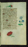 W.427, fol. 113r