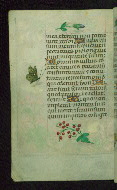 W.427, fol. 116v