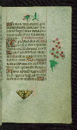W.427, fol. 117r