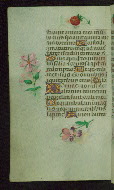 W.427, fol. 117v