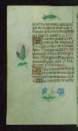W.427, fol. 118v
