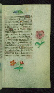 W.427, fol. 119r