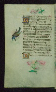 W.427, fol. 119v