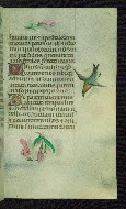 W.427, fol. 120r