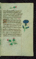 W.427, fol. 121r