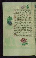 W.427, fol. 123v