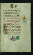 W.427, fol. 125r