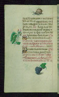 W.427, fol. 125v