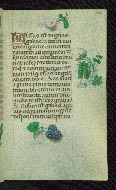 W.427, fol. 126r