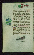 W.427, fol. 126v
