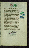 W.427, fol. 127r