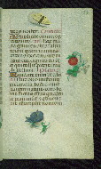 W.427, fol. 131r