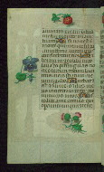 W.427, fol. 134v