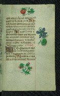 W.427, fol. 135r