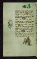 W.427, fol. 135v