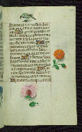 W.427, fol. 138r