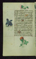 W.427, fol. 138v