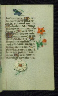 W.427, fol. 139r