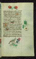 W.427, fol. 141r