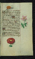 W.427, fol. 143r