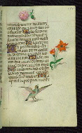 W.427, fol. 144r