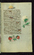 W.427, fol. 145r