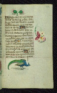 W.427, fol. 146r