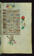 W.427, fol. 147r