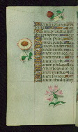 W.427, fol. 147v