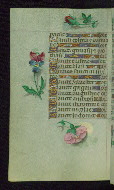 W.427, fol. 148v