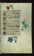 W.427, fol. 150r