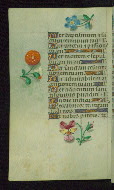 W.427, fol. 150v