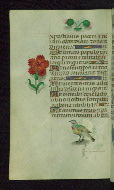 W.427, fol. 151v
