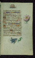 W.427, fol. 152r