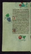 W.427, fol. 154v
