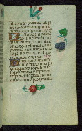 W.427, fol. 155r
