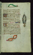 W.427, fol. 156r
