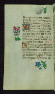 W.427, fol. 156v