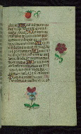 W.427, fol. 161r