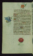 W.427, fol. 161v