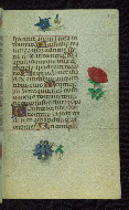 W.427, fol. 162r