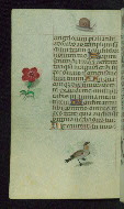 W.427, fol. 162v