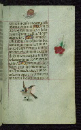 W.427, fol. 163r