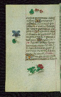 W.427, fol. 165v