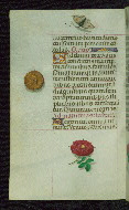 W.427, fol. 166v