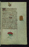 W.427, fol. 167r