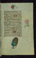 W.427, fol. 168r