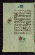 W.427, fol. 168v